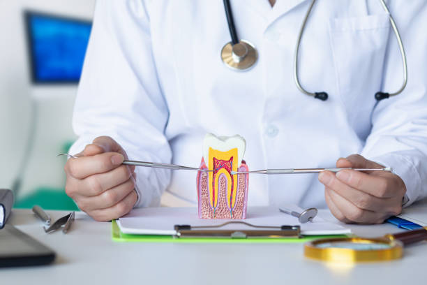 Best Weekend Emergency Dentist in Garden Plain, KS